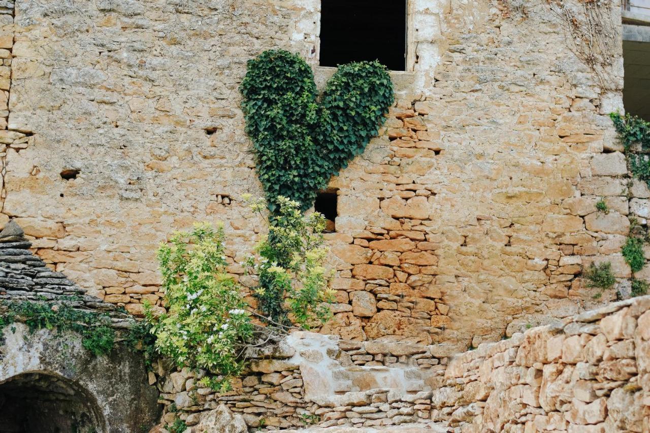Maison Cistus - Maison D'Hotes De Charme - Suites Et Gite Avec Terrasses Privees - Proche De Sarlat, Au Coeur De La Nature Exterior foto