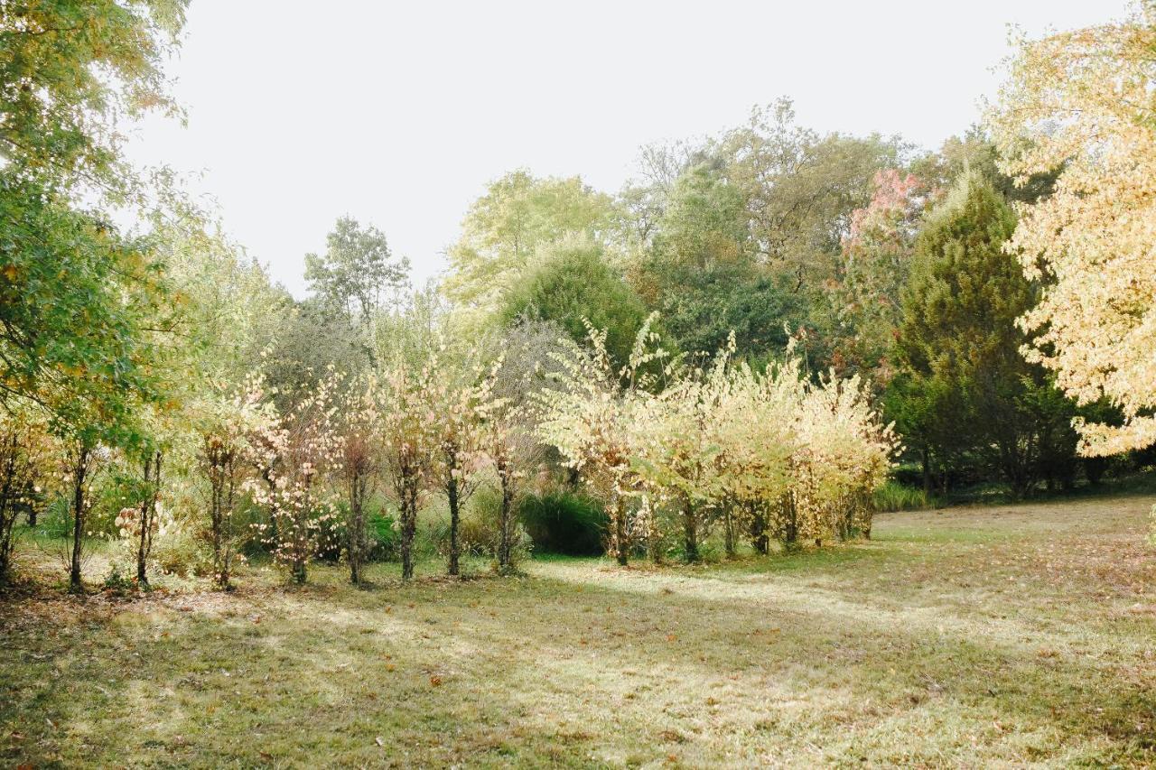 Maison Cistus - Maison D'Hotes De Charme - Suites Et Gite Avec Terrasses Privees - Proche De Sarlat, Au Coeur De La Nature Exterior foto